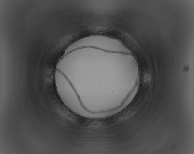 X0000091521204200708311241