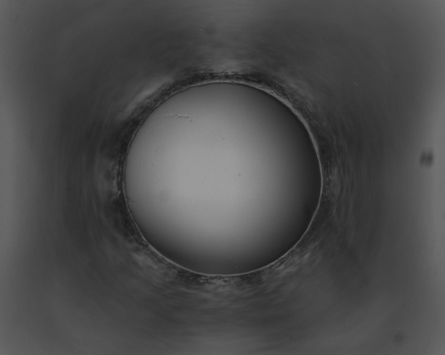 X0000091521205200708311241