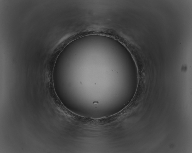 X0000091521206200708311241