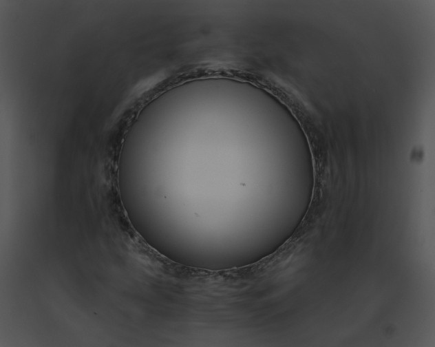 X0000091521207200708311241