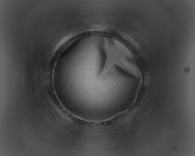 X0000091521208200708311241