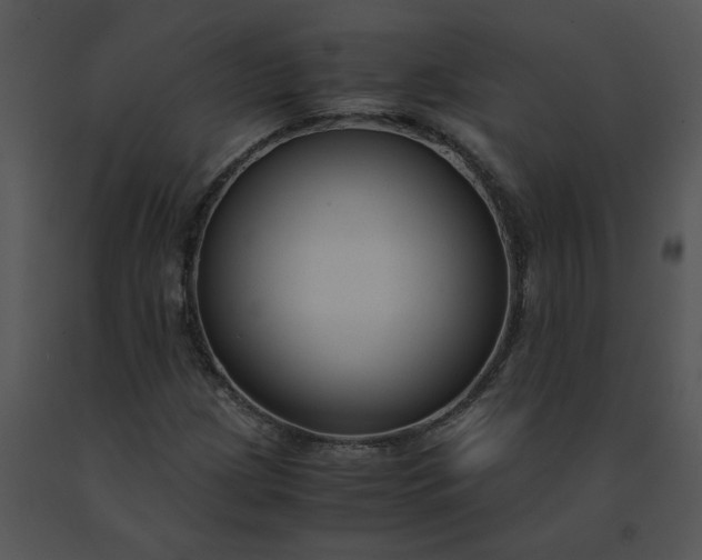 X0000091521209200708311241