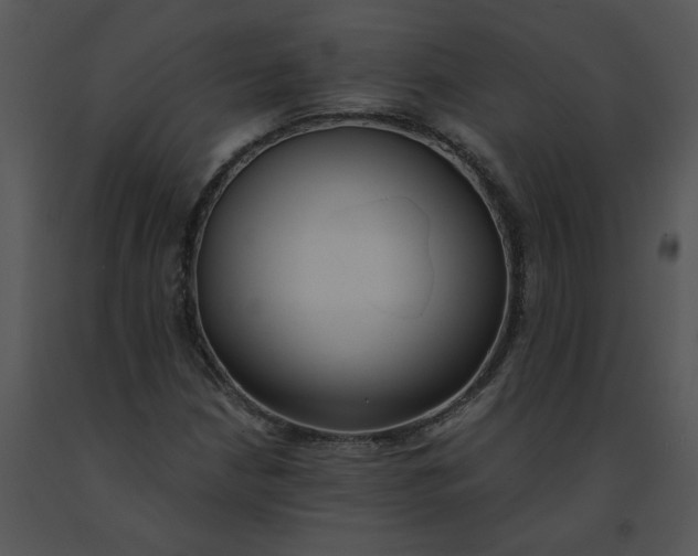 X0000091521210200708311241