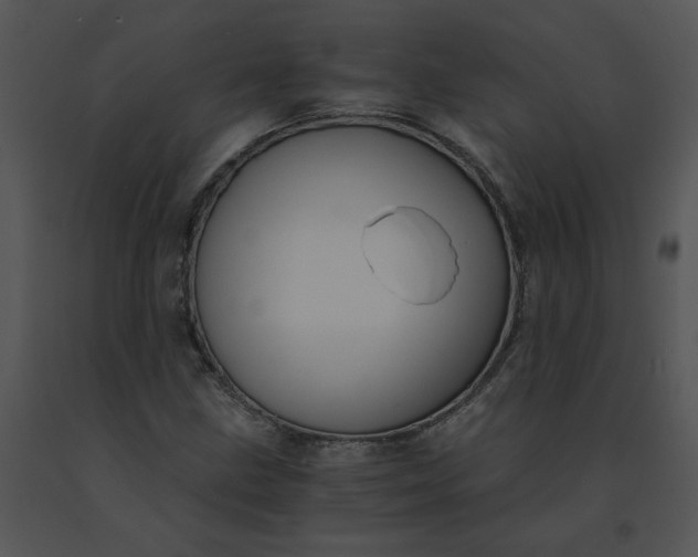 X0000091521211200708311241