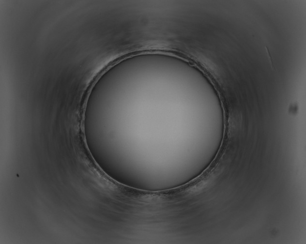 X0000091521212200708311241