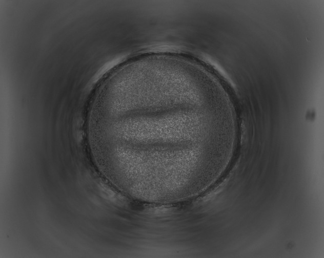 X0000091521213200708311241