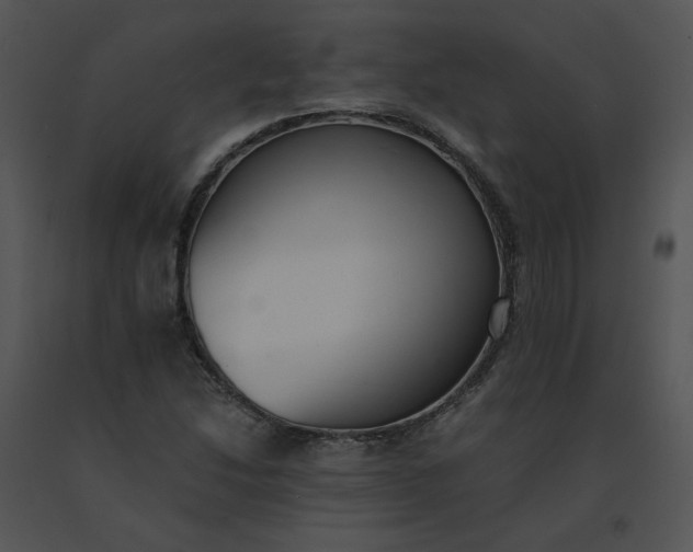 X0000091521214200708311241