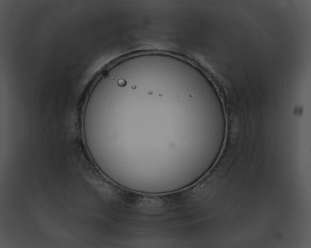 X0000091521215200708311241