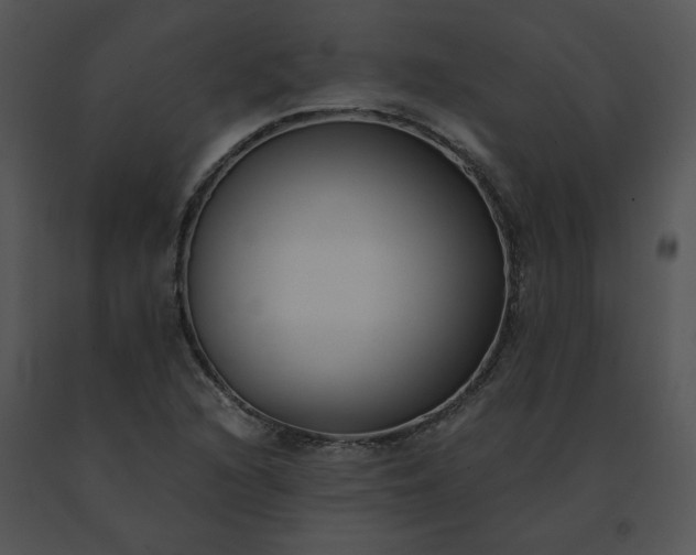 X0000091521216200708311241