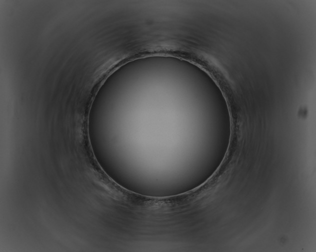 X0000091521217200708311241