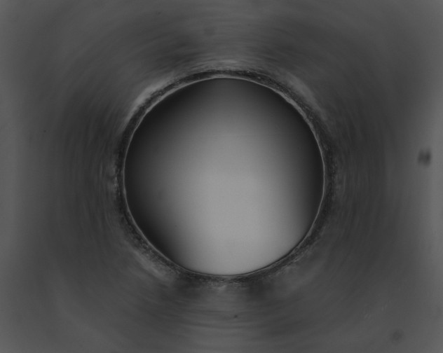 X0000091521218200708311241