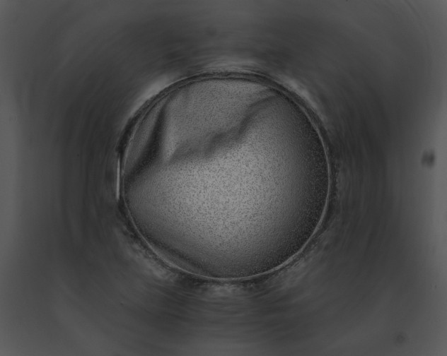 X0000091521219200708311241