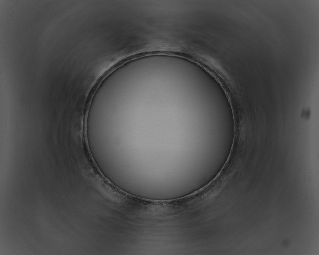 X0000091521220200708311241