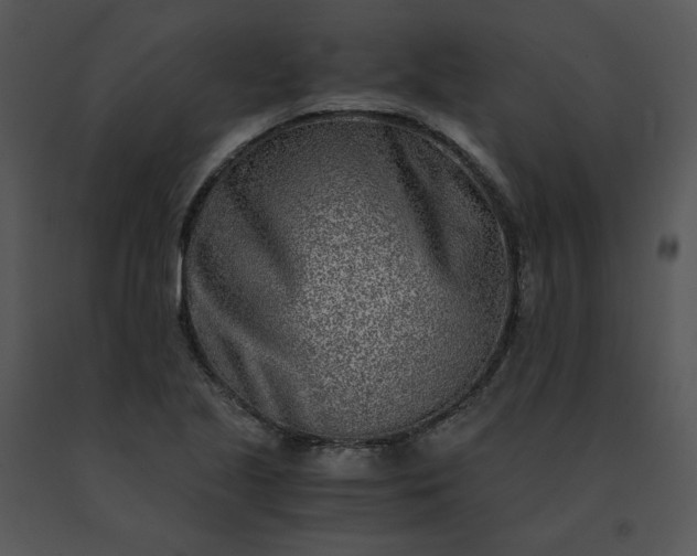 X0000091521221200708311241