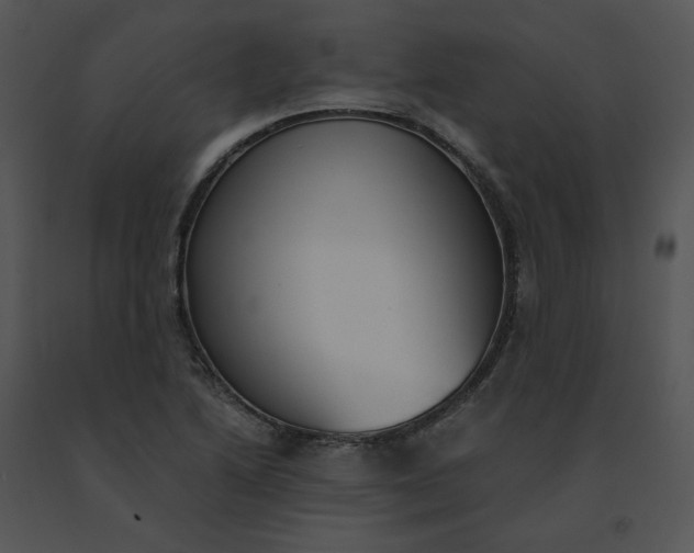 X0000091521222200708311241