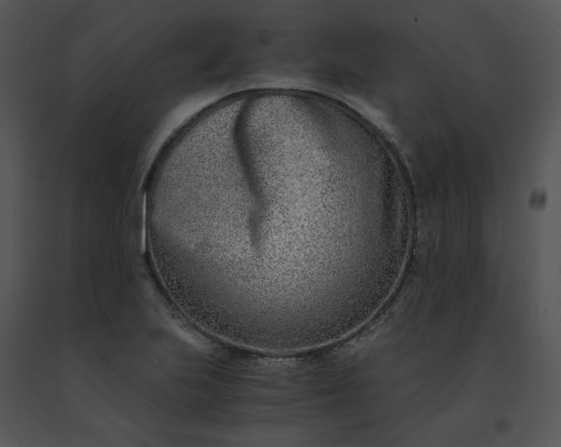 X0000091521223200708311241