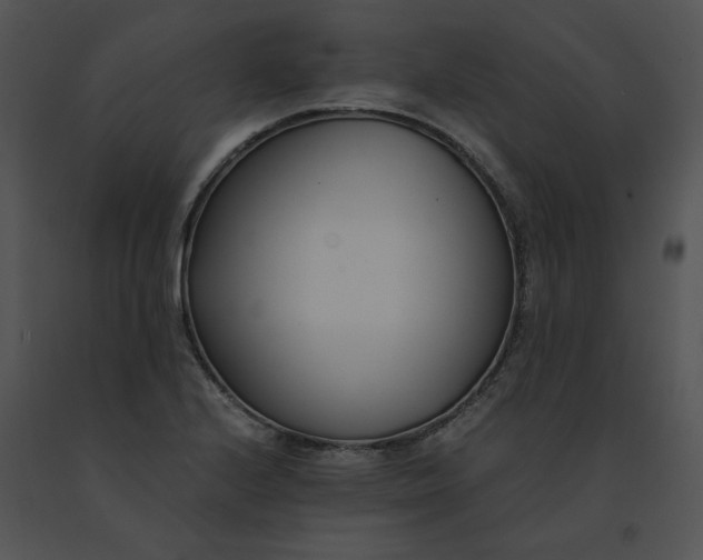 X0000091521224200708311241