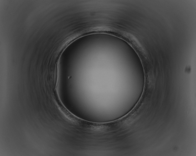 X0000091521225200708311241