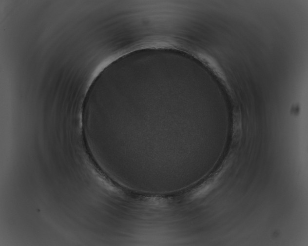 X0000091521226200708311241
