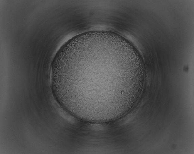 X0000091521227200708311241