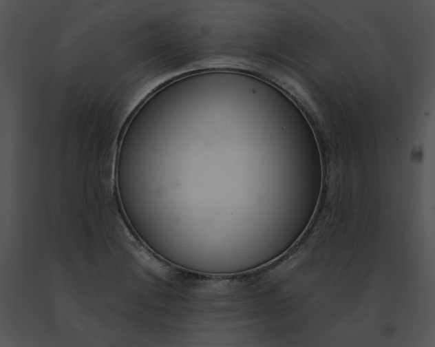 X0000091521228200708311241