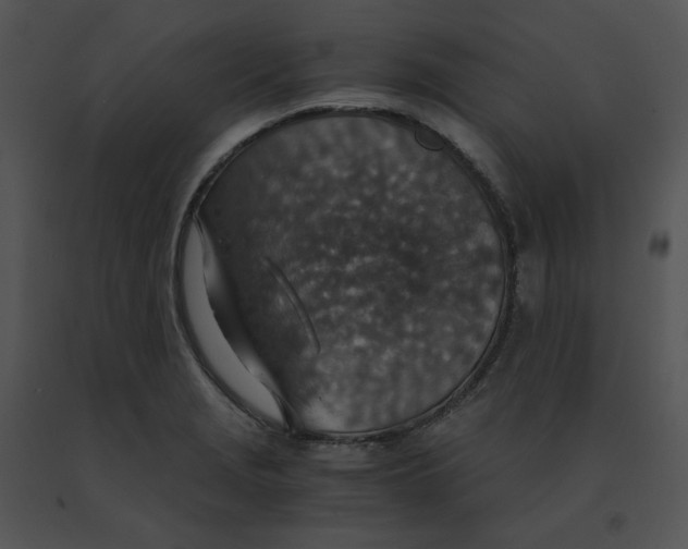 X0000091521229200708311241