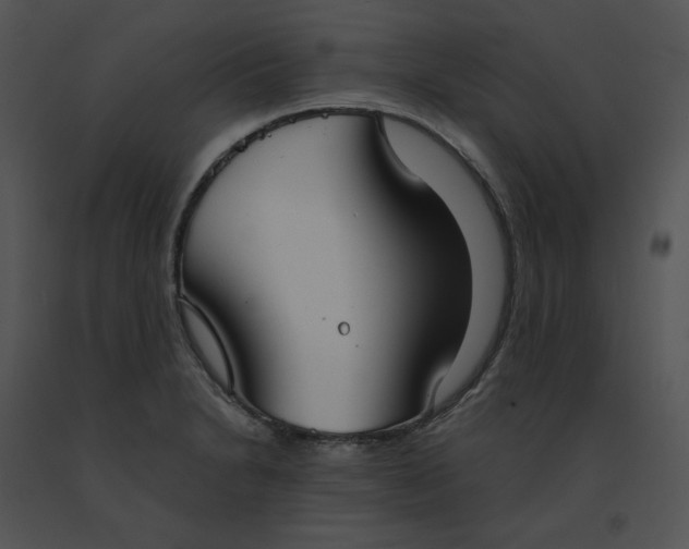 X0000091521230200708311241