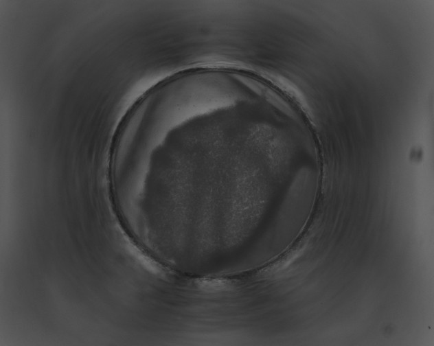 X0000091521231200708311241