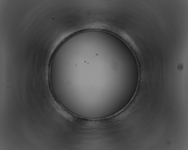 X0000091521232200708311241