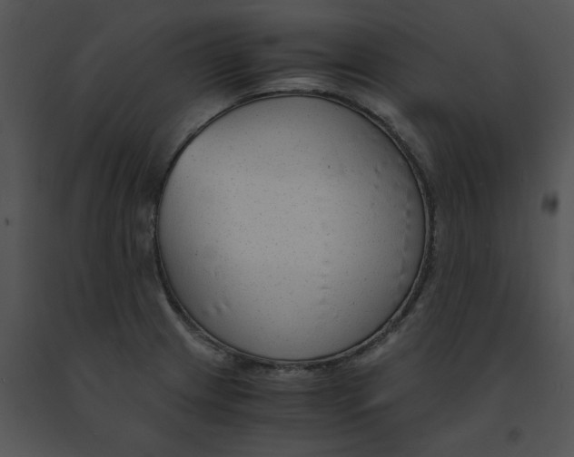 X0000091521233200708311241