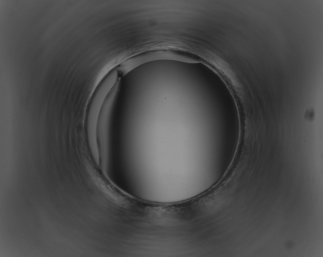 X0000091521234200708311241