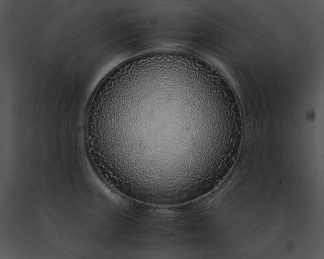 X0000091521235200708311241