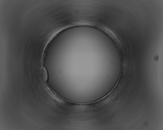 X0000091521236200708311241