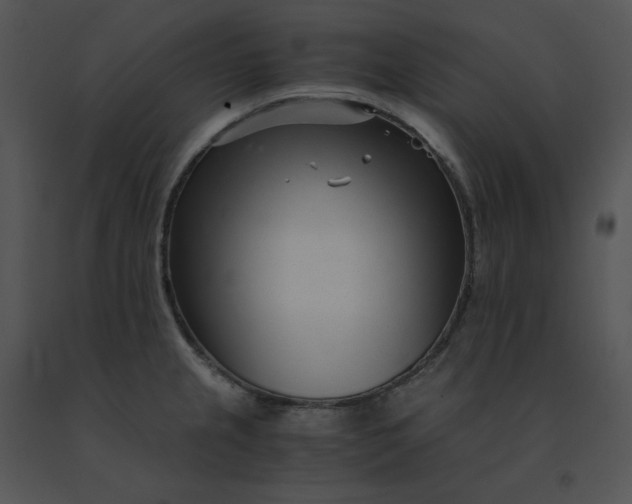 X0000091521237200708311241