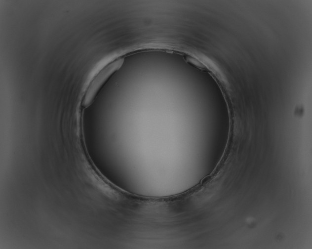 X0000091521238200708311241