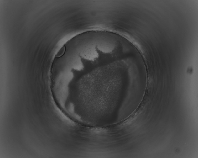 X0000091521239200708311242