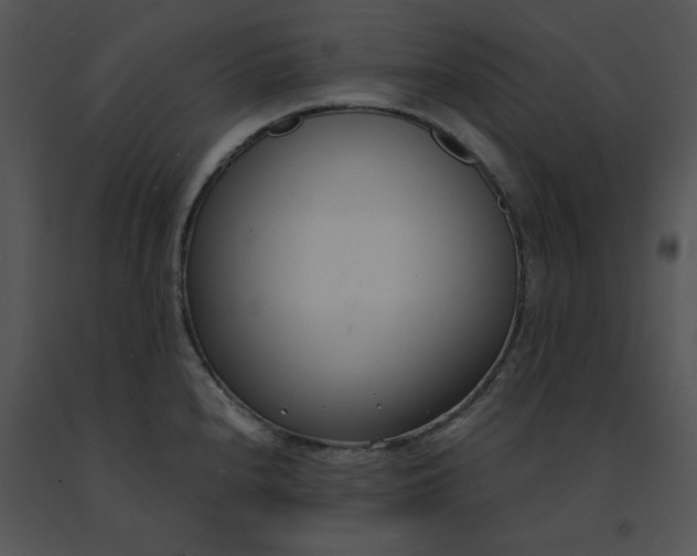 X0000091521240200708311242