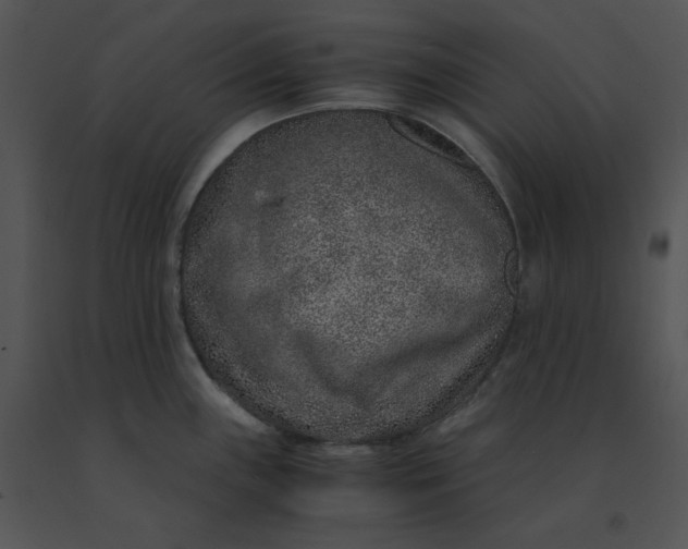 X0000091521243200708311242