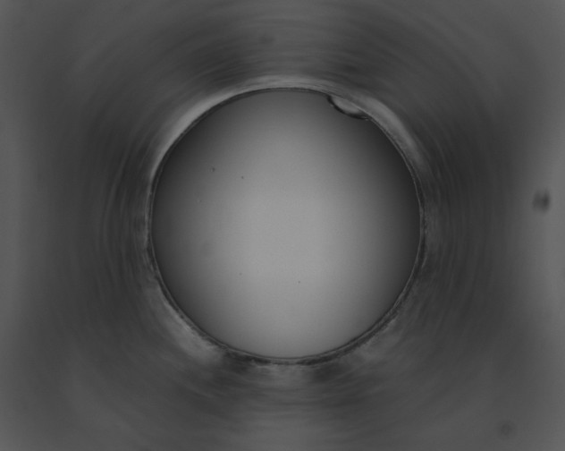 X0000091521244200708311242