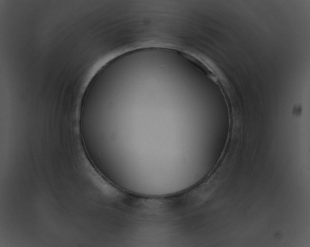 X0000091521246200708311242