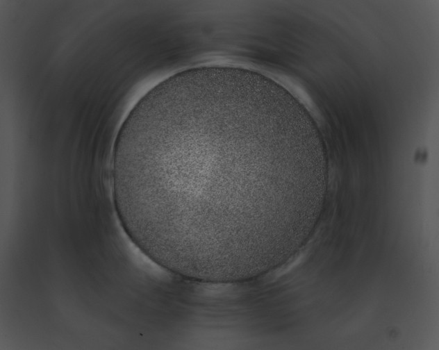 X0000091521247200708311242