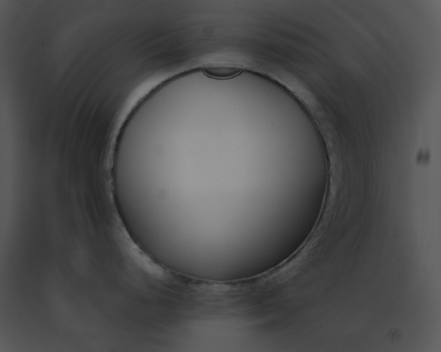 X0000091521248200708311242