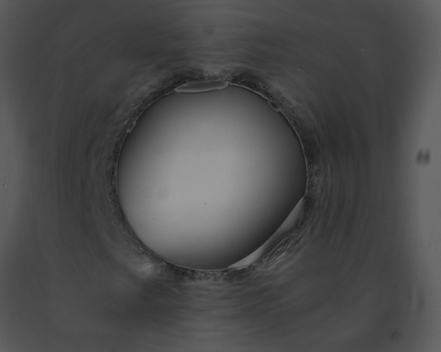 X0000091521249200708311241