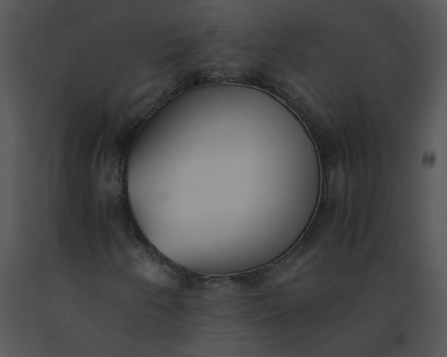 X0000091521250200708311241