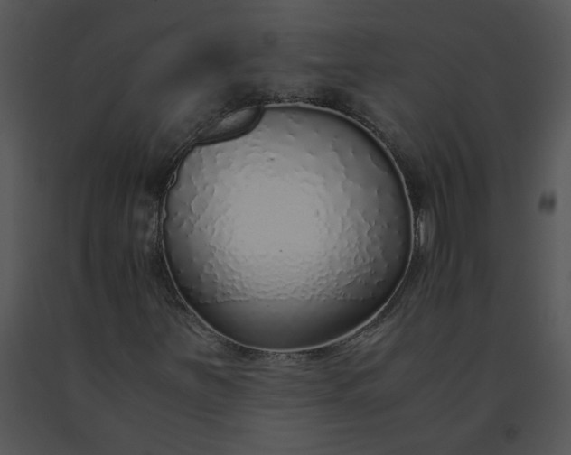 X0000091521251200708311241