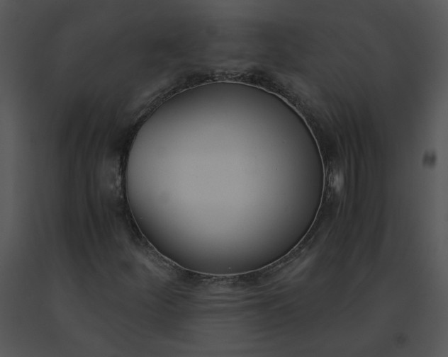 X0000091521252200708311241