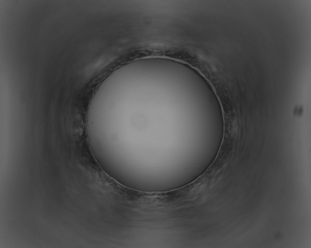 X0000091521253200708311241