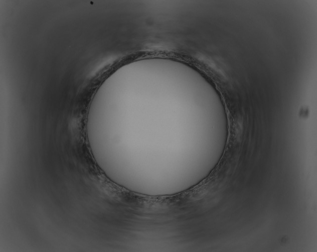 X0000091521254200708311241