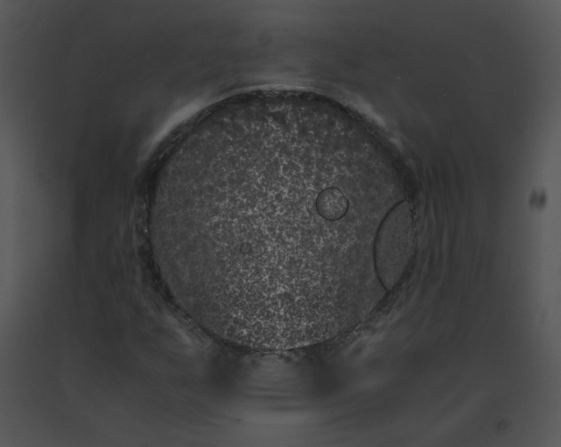 X0000091521255200708311241