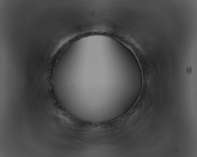 X0000091521256200708311241